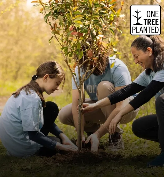 one tree planted