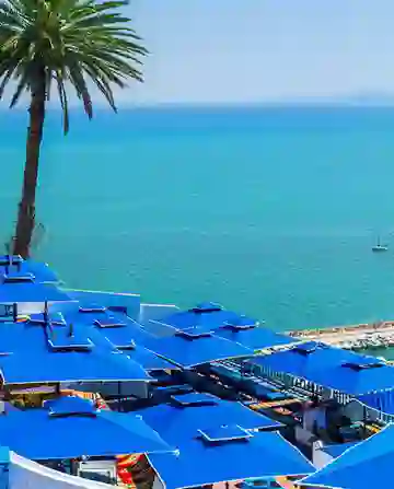 Toits bleus couvrant une série de bâtiments au bord d’une mer turquoise, avec un grand palmier à côté, créant une scène côtière vibrante sous un ciel dégagé.