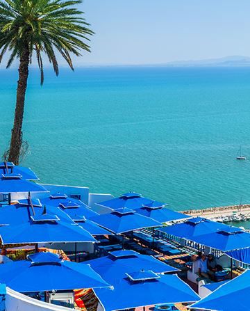 Toits bleus couvrant une série de bâtiments au bord d’une mer turquoise, avec un grand palmier à côté, créant une scène côtière vibrante sous un ciel dégagé.