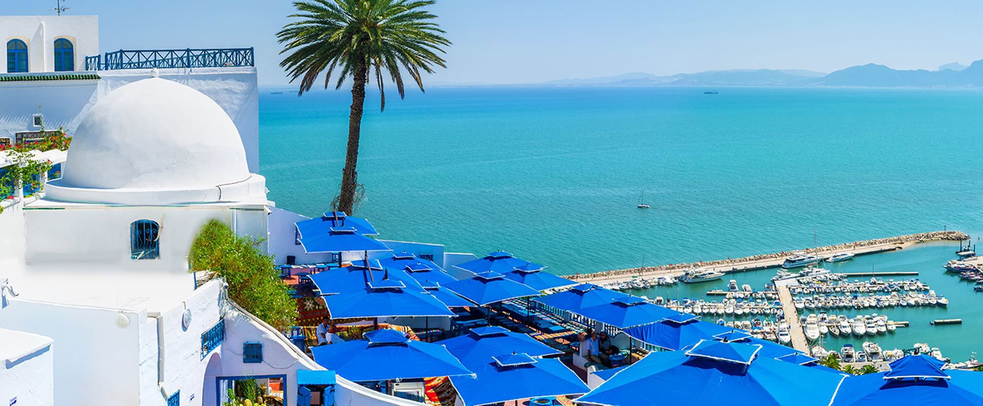 Bâtiment blanc à dôme avec de vibrantes toiles bleues surplombant une marina et la mer turquoise, avec un palmier à proximité.