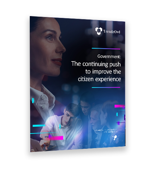 The continuing push to empower citizens white paper mockup.