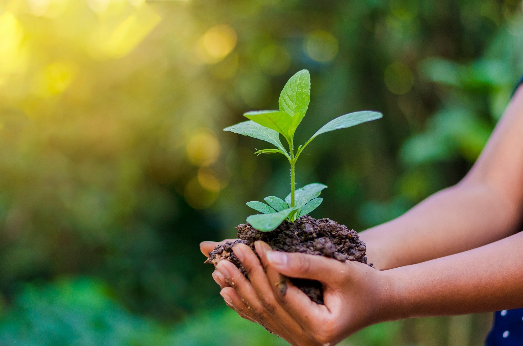 Join the Movement: United for a Greener Future on World Environment Day 2025! Join the Movement: United for a Greener Future on World Environment Day 2025!