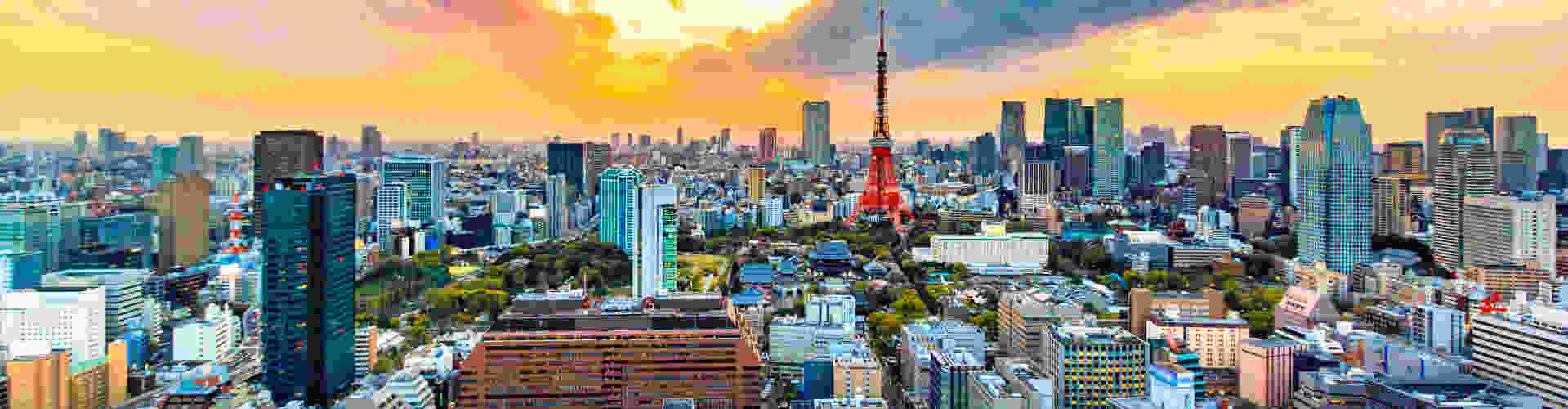 Aerial view of modern Tokyo city, in Japan