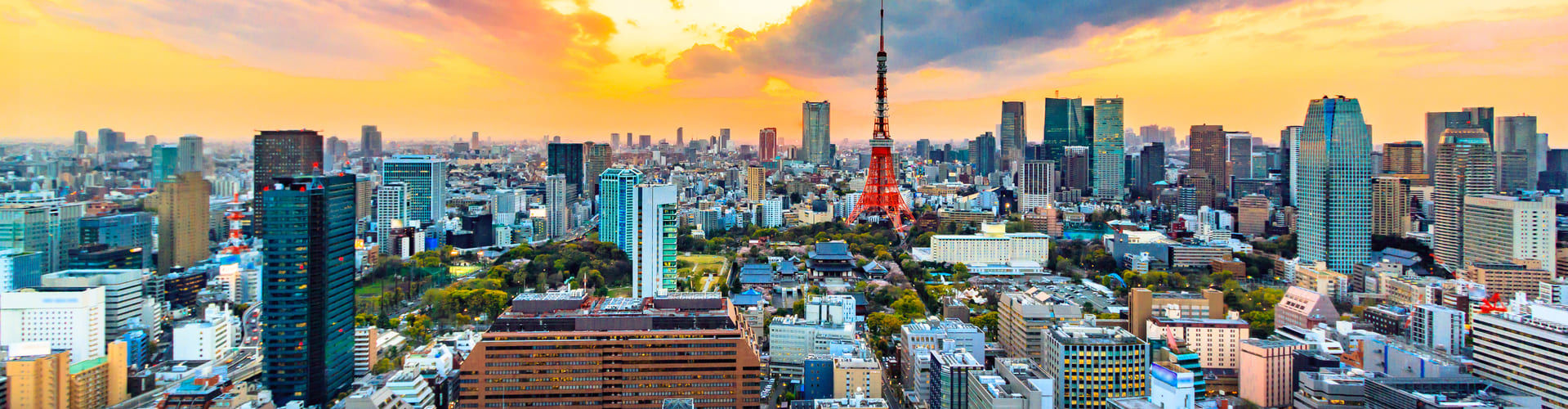 Aerial view of modern Tokyo city, in Japan