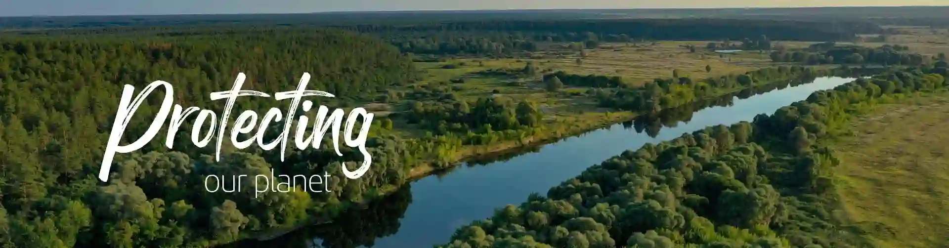 River passing through trees and vegetation
