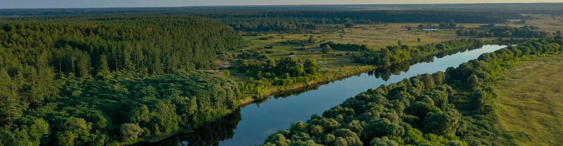 River passing through trees and vegetation