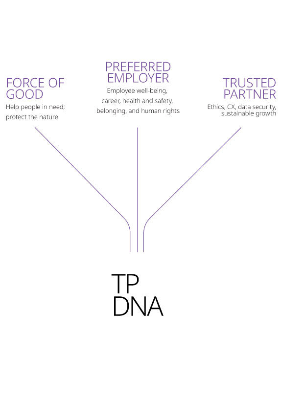 TP DNA chart