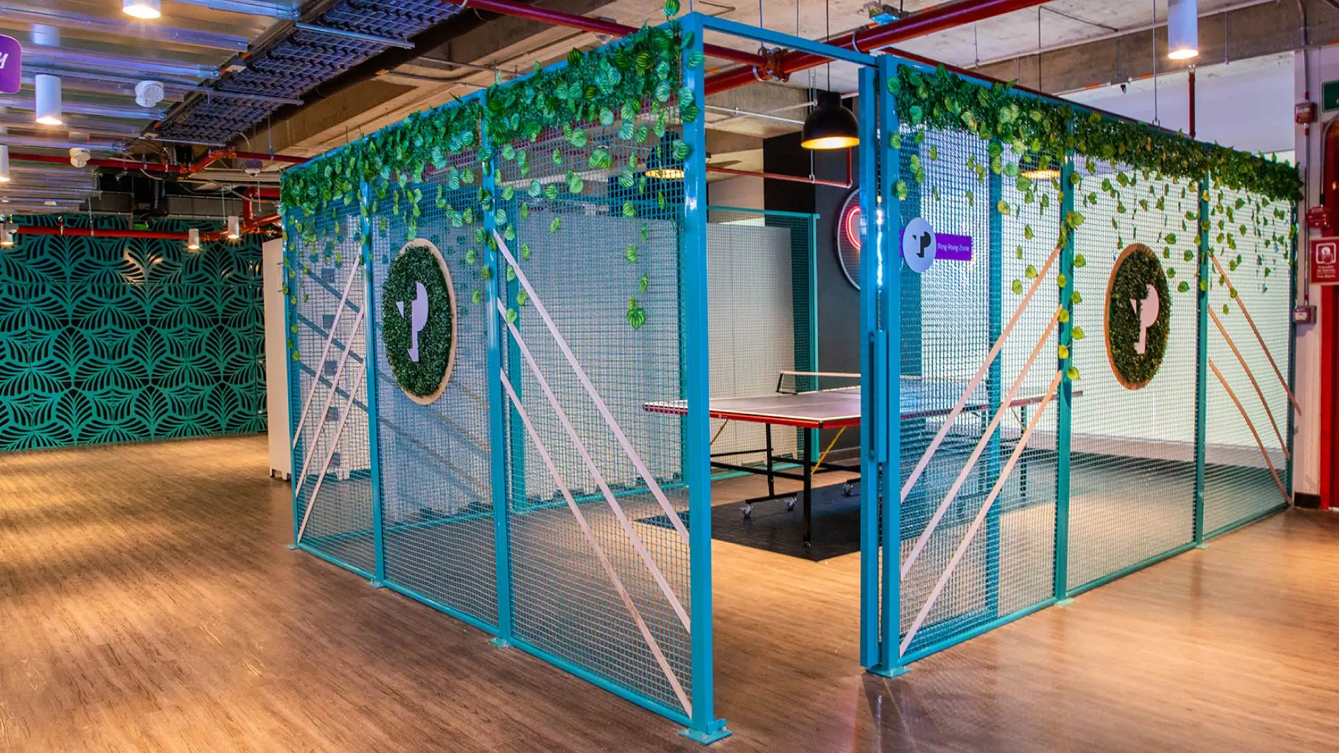 Indoor ping pong area with blue fencing and green vine decorations