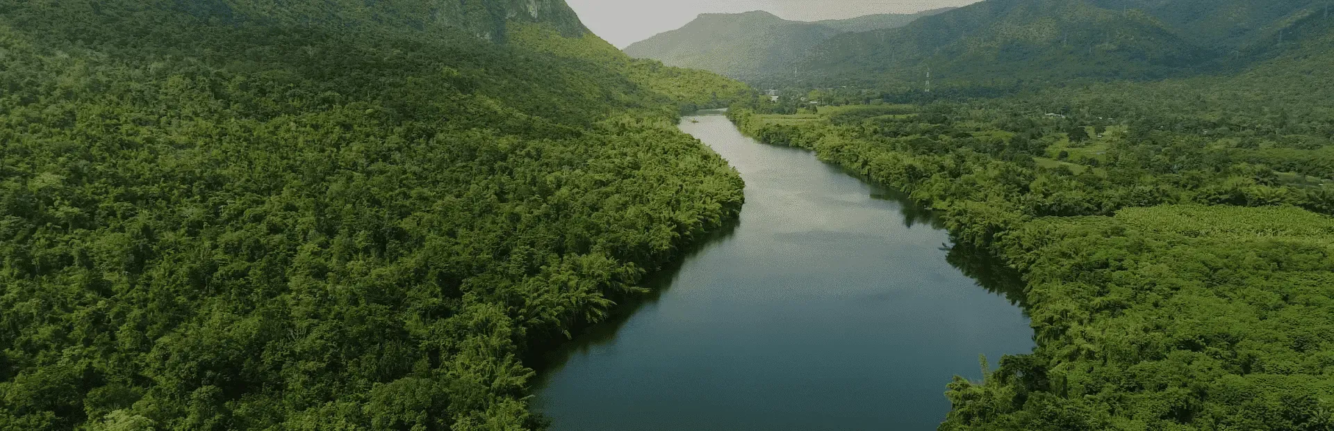 Wide river through a chain of trees