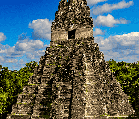 Una pirámide de piedra se eleva con terrazas escalonadas bajo un cielo azul brillante, rodeada de frondosos árboles verdes.