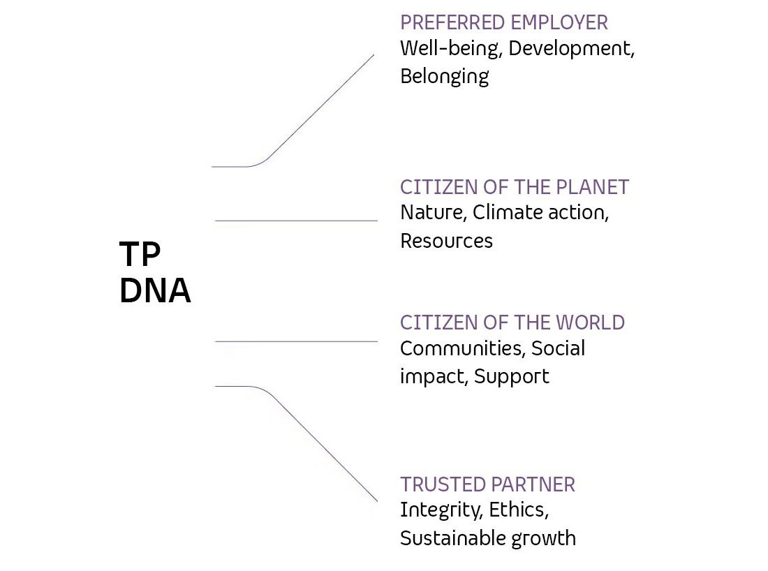Diagram showing the four pillars of TP DNA.