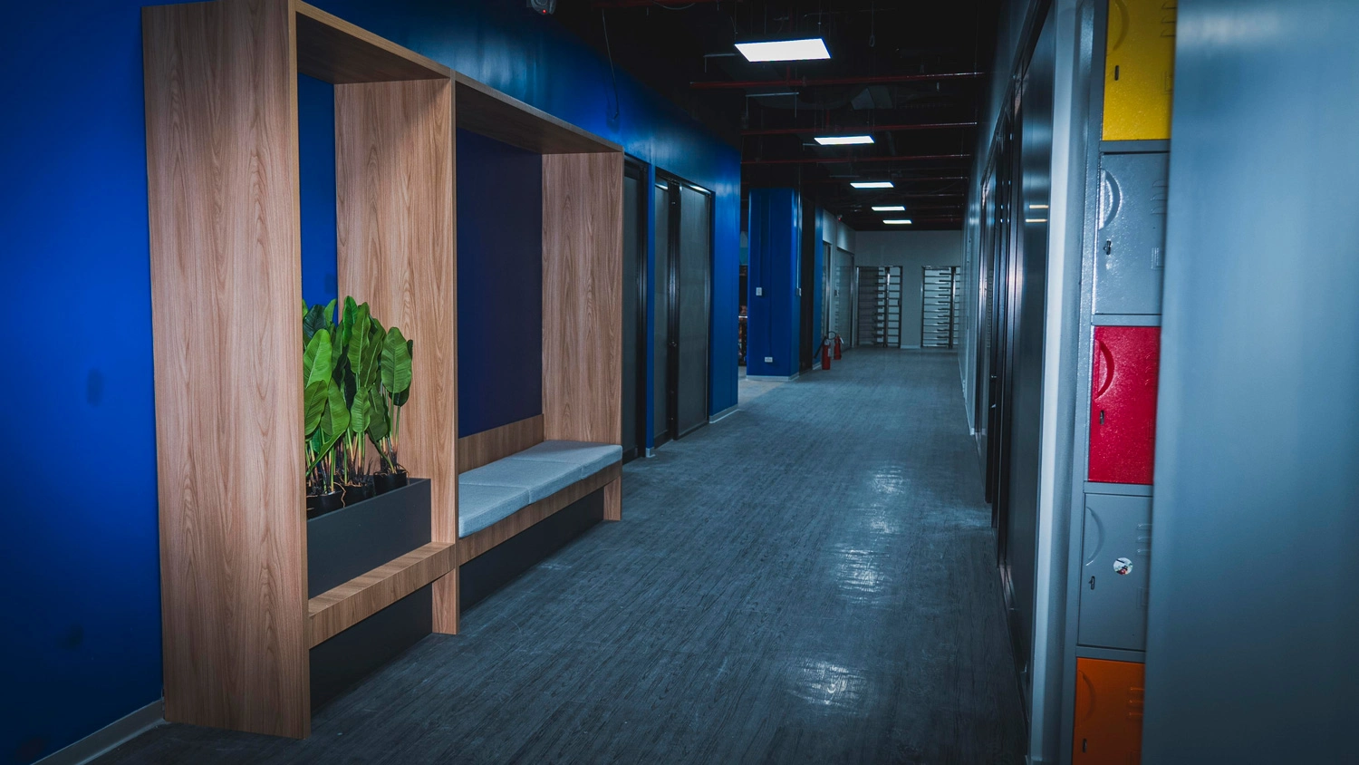 Modern hallway with lockers and seating area featuring wood panels and plants.