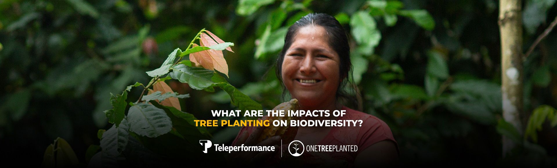 One Tree Planted Post Linkedin Live Clementine July Header