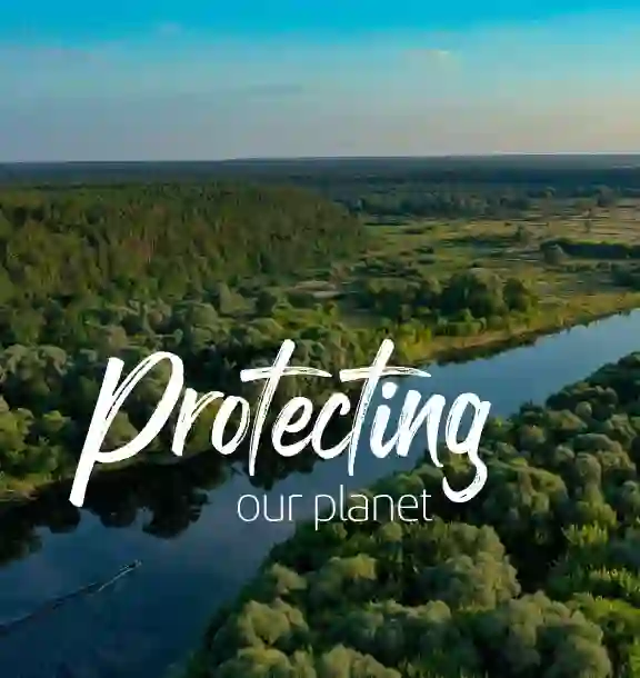 River passing through trees and vegetation