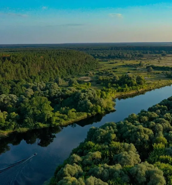 River passing through trees and vegetation