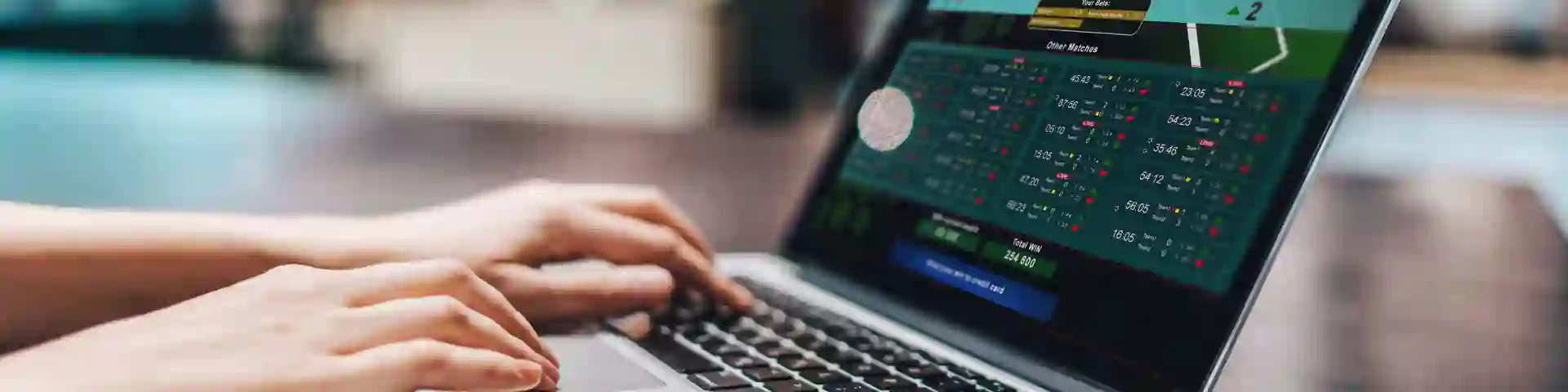 Person browsing a laptop