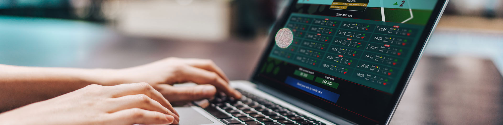 Person browsing a laptop