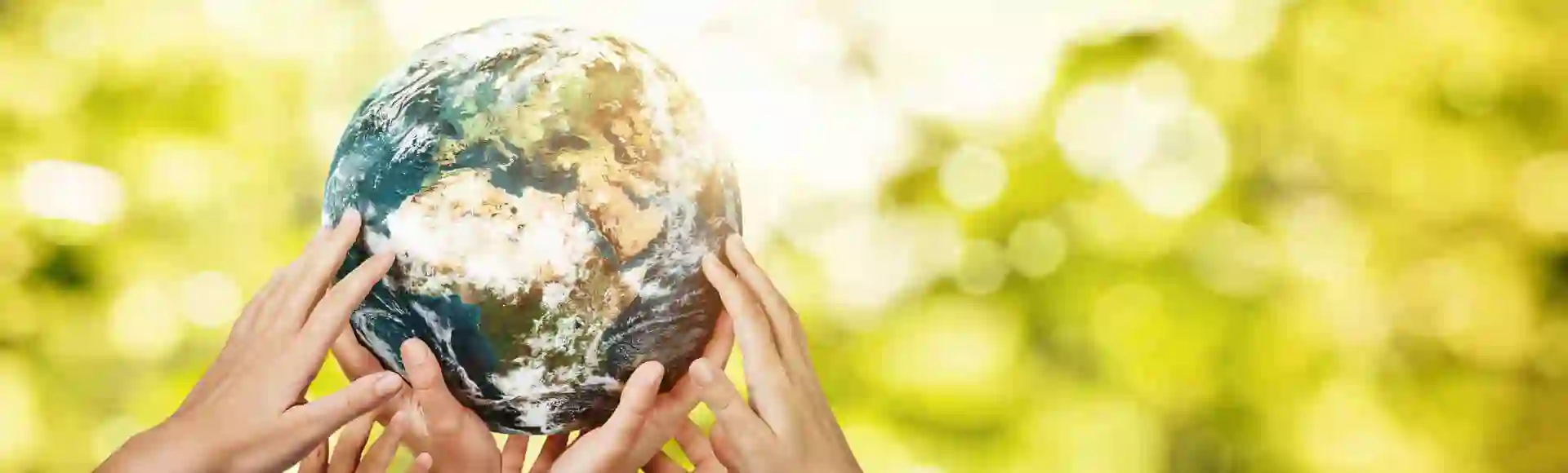 Several hands holding a globe, representing TP’s commitment to sustainability.