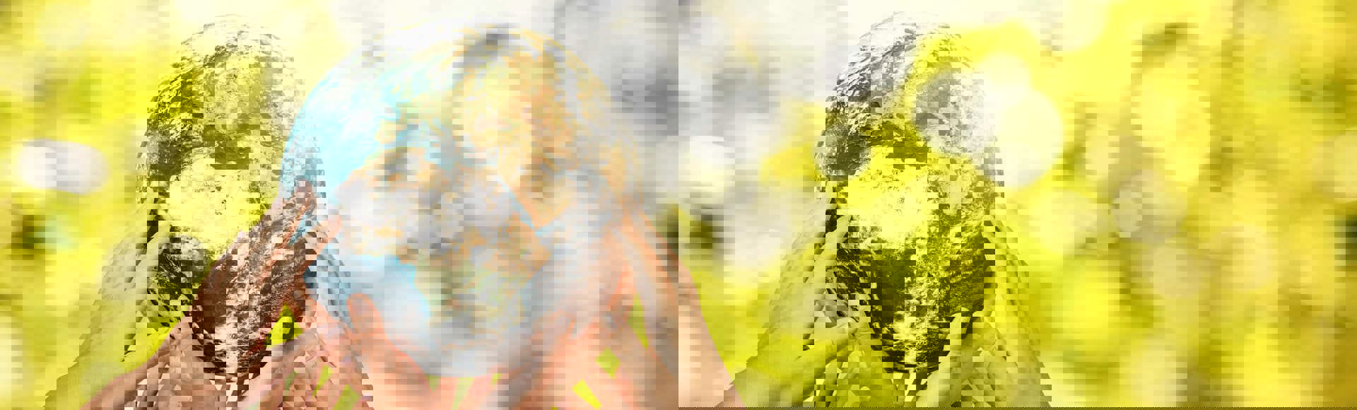 Several hands holding a globe, representing TP’s commitment to sustainability. Several hands holding a globe, representing TP’s commitment to sustainability.