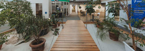 TP Orléans - Insightful article