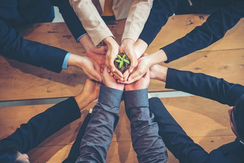 Group of business people holding a seed