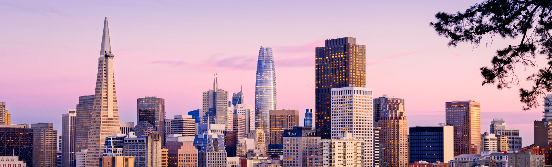 City skyline filled with towering skyscrapers and a dynamic business landscape.