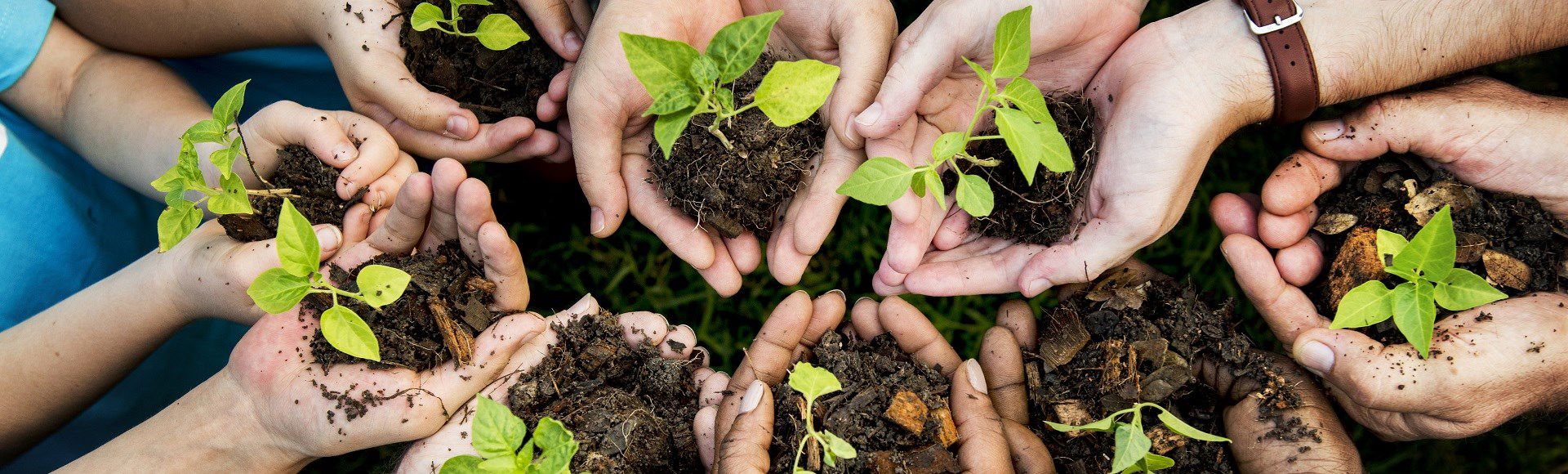 Leading The Way In Climate Action With TP’S 2030 Carbon Reduction Targets