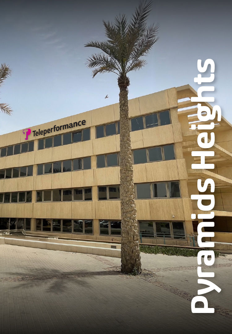 Building displaying the "TP" logo stands behind a palm tree, located in a landscaped area. the text "pyramids heights" is vertically positioned on the right side. Building displaying the "TP" logo stands behind a palm tree, located in a landscaped area. the text "pyramids heights" is vertically positioned on the right side.