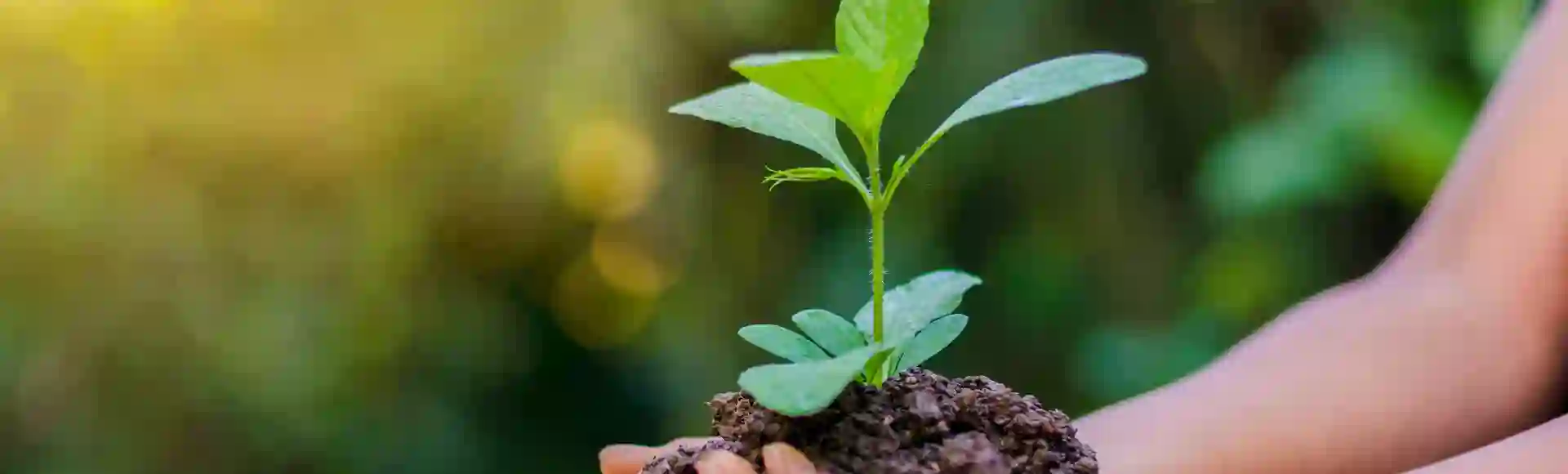 TP: A Strong ESG Performance