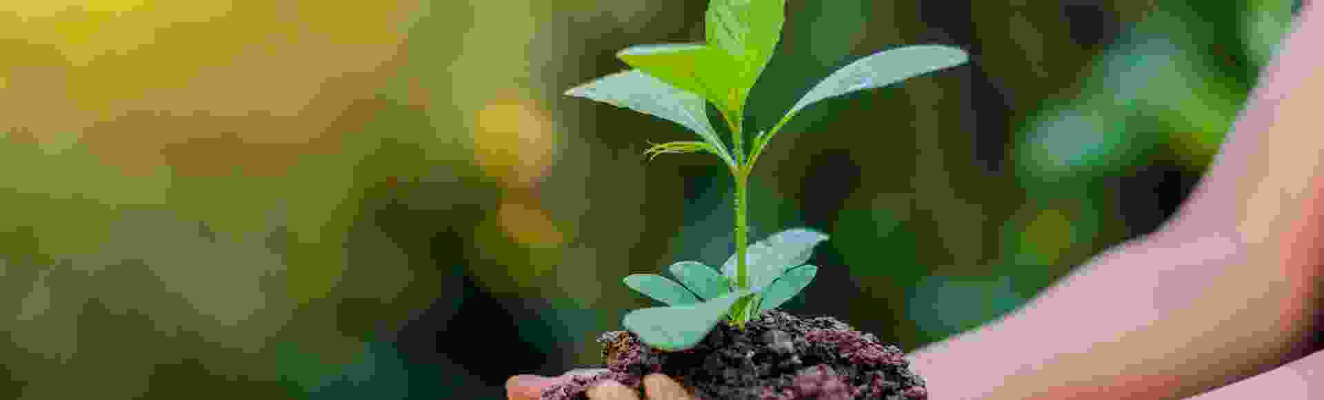 TP: A Strong ESG Performance