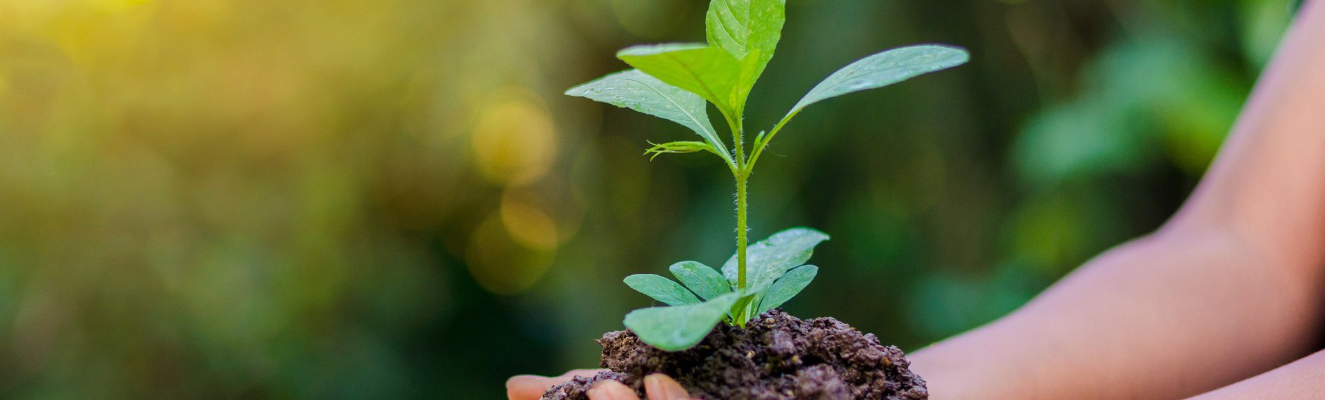 TP: A Strong ESG Performance TP: A Strong ESG Performance