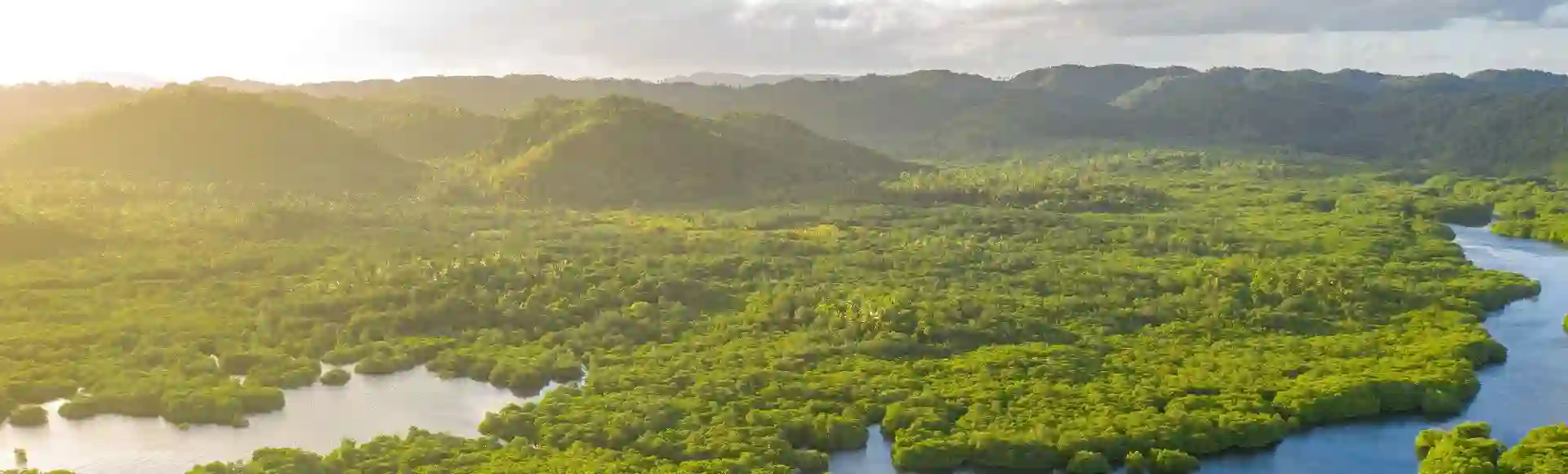 TP Amazônia In Brazil