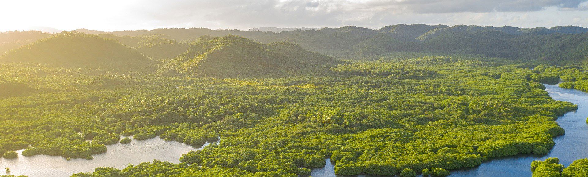 TP Amazônia In Brazil