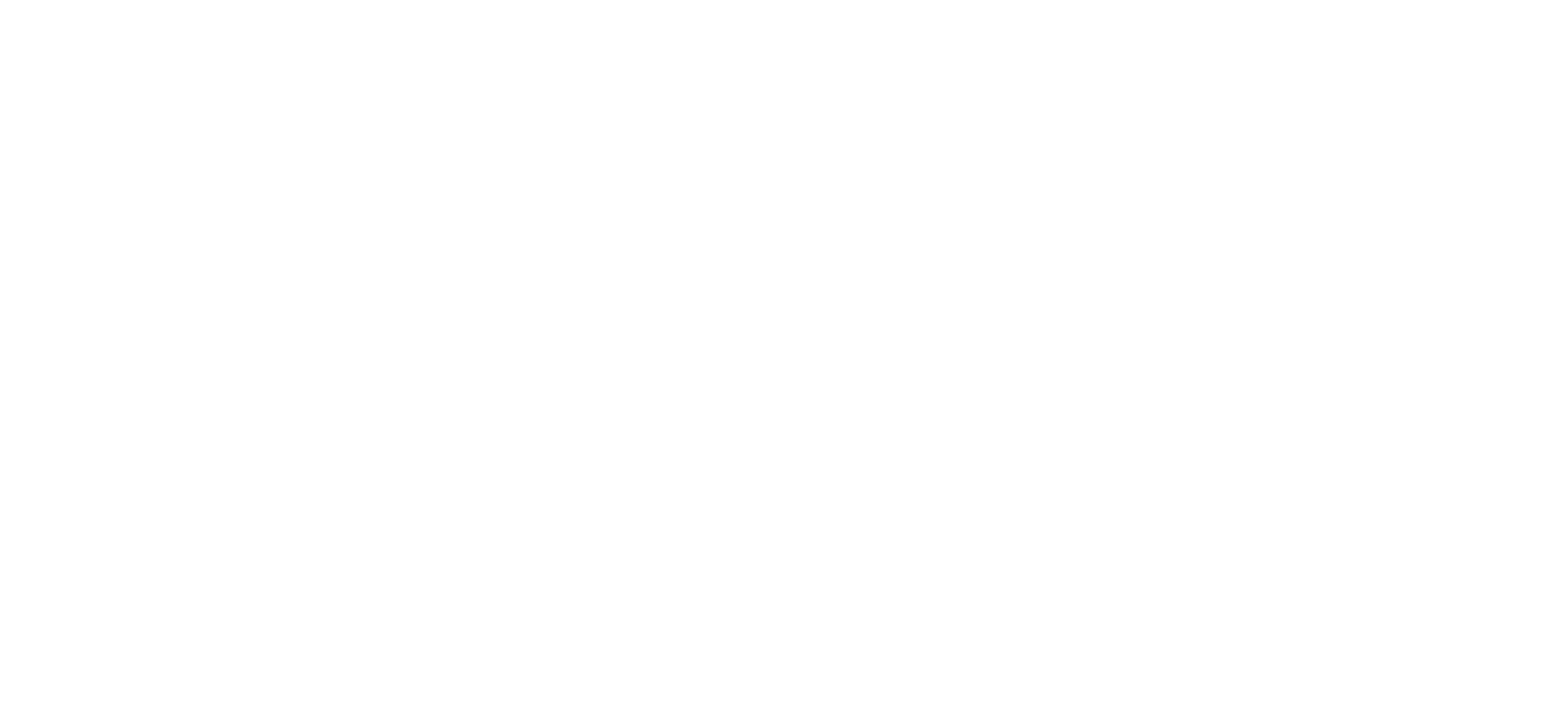 Logo Senture White