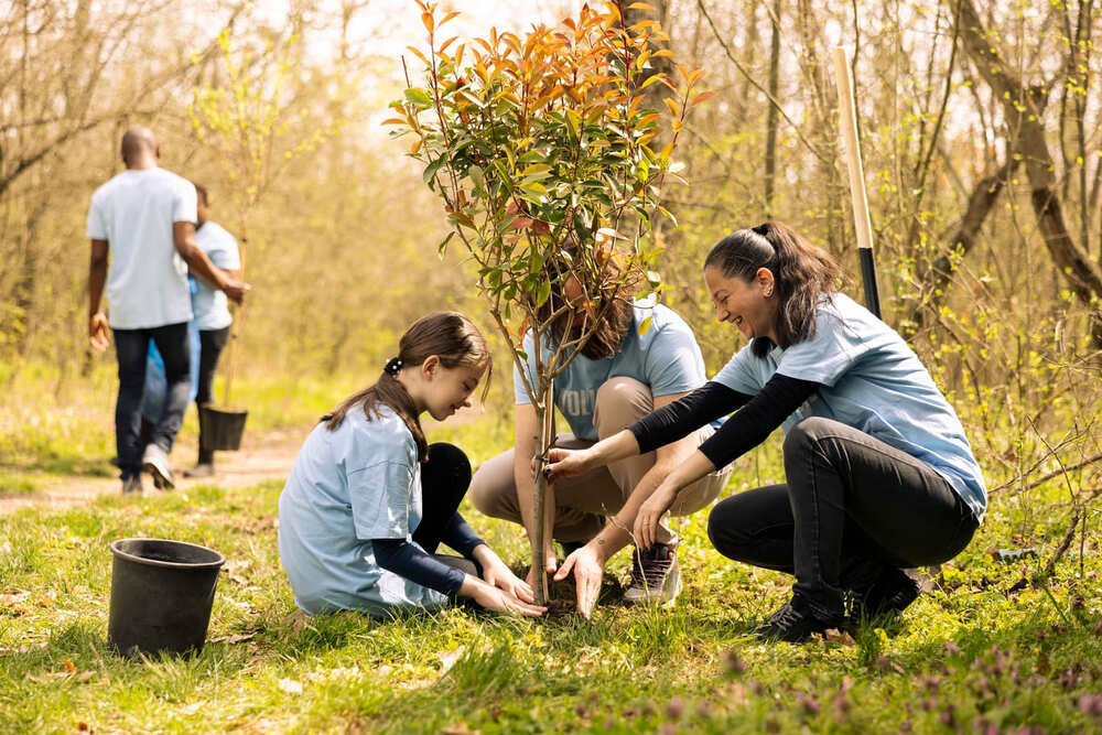 Group of people planting a tree together