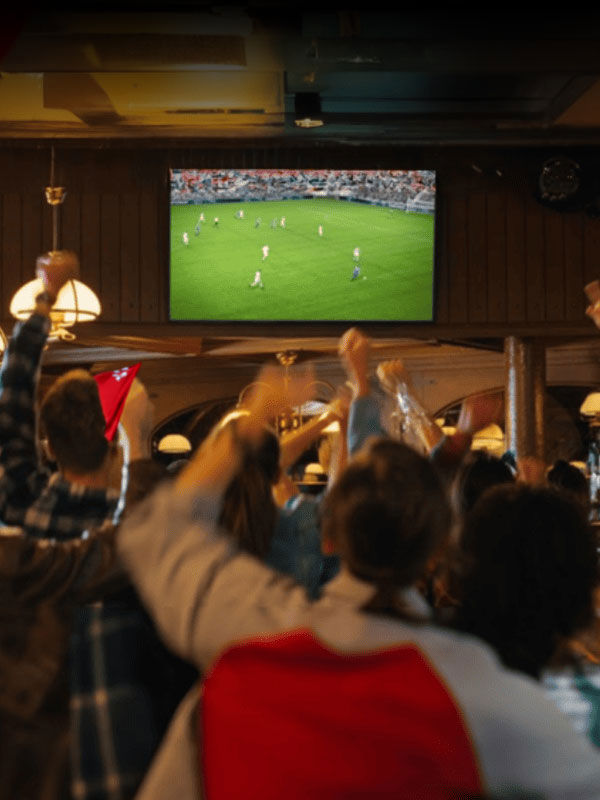 A crowd of people cheers, raising arms and flags in a dimly lit bar, watching a soccer match