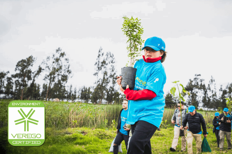 A person holds a young tree in a pot, participating in a tree-planting event