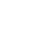 White padlock icon