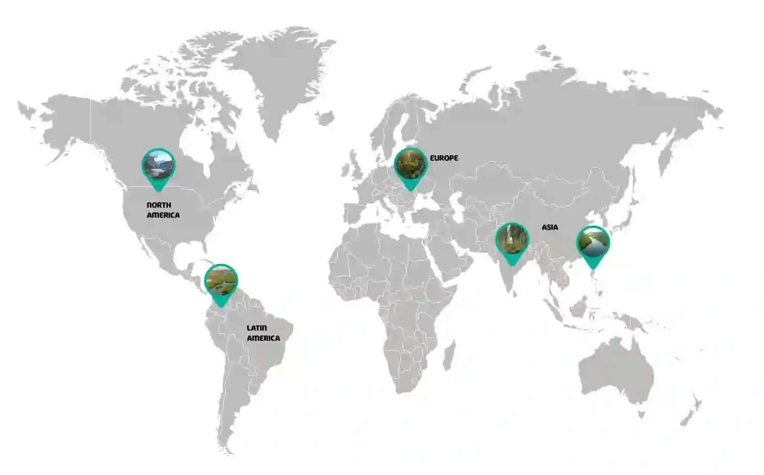Reforestation programs across five world regions