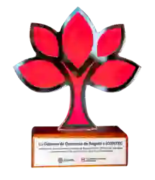 ICONTEC award badge representing TP in Colombia as Leader in Sustainability 
