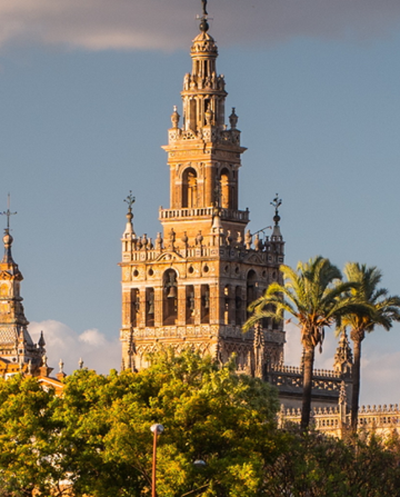 Ornate Giralda tower in Seville rising above green trees and palm trees under a partly cloudy blue sky.