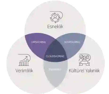 Hizmet Modellerimiz  Smart-Shoring 