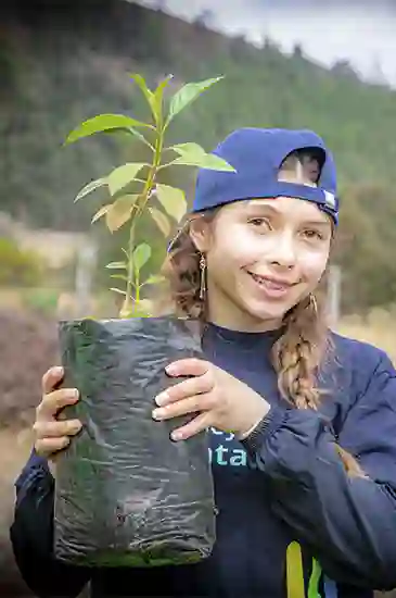 A person wearing a blue cap and dark clothing is holding a young plant in a black plastic bag, standing outdoors with blurred greenery and trees in the background.